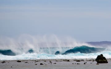 Coastline Coffee