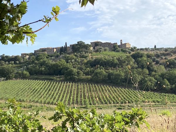 Family-Friendly Wine Tasting in Florence
