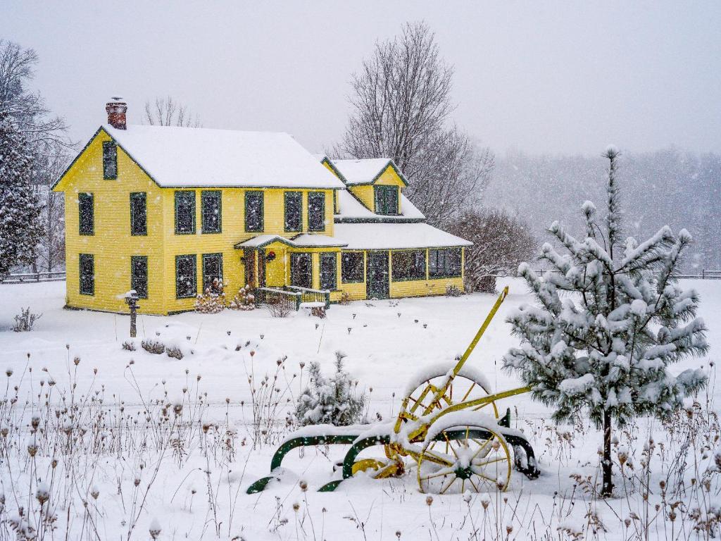 4. Bark & Explore Inn