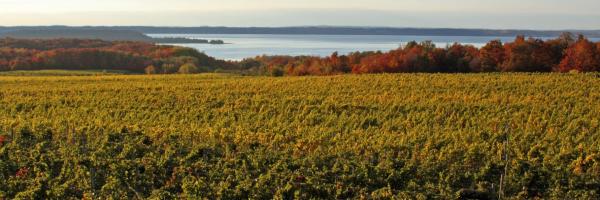 9. The Retreat at Clam Lake