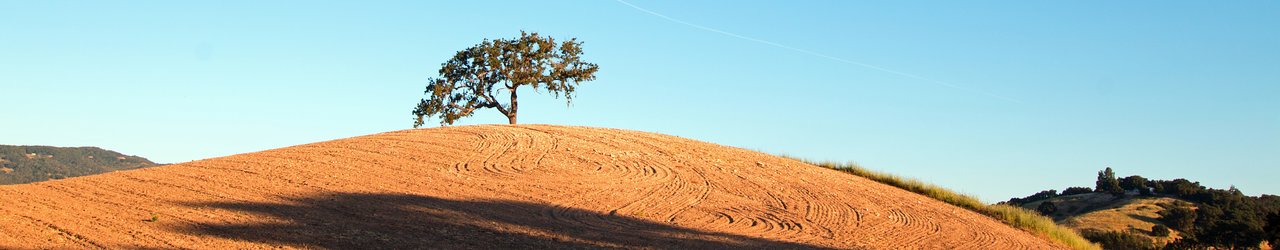 Explore the Paso Robles Downtown