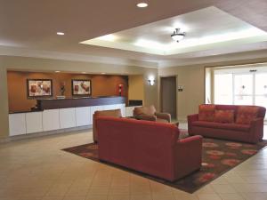 Pet-Friendly Hotel with Smart TVs