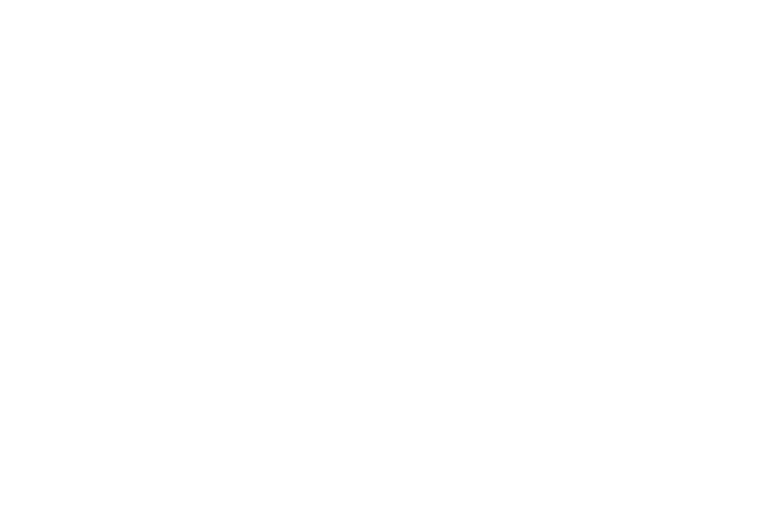 The Vagabond Hotel