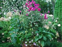 London Garden Plant Marker
