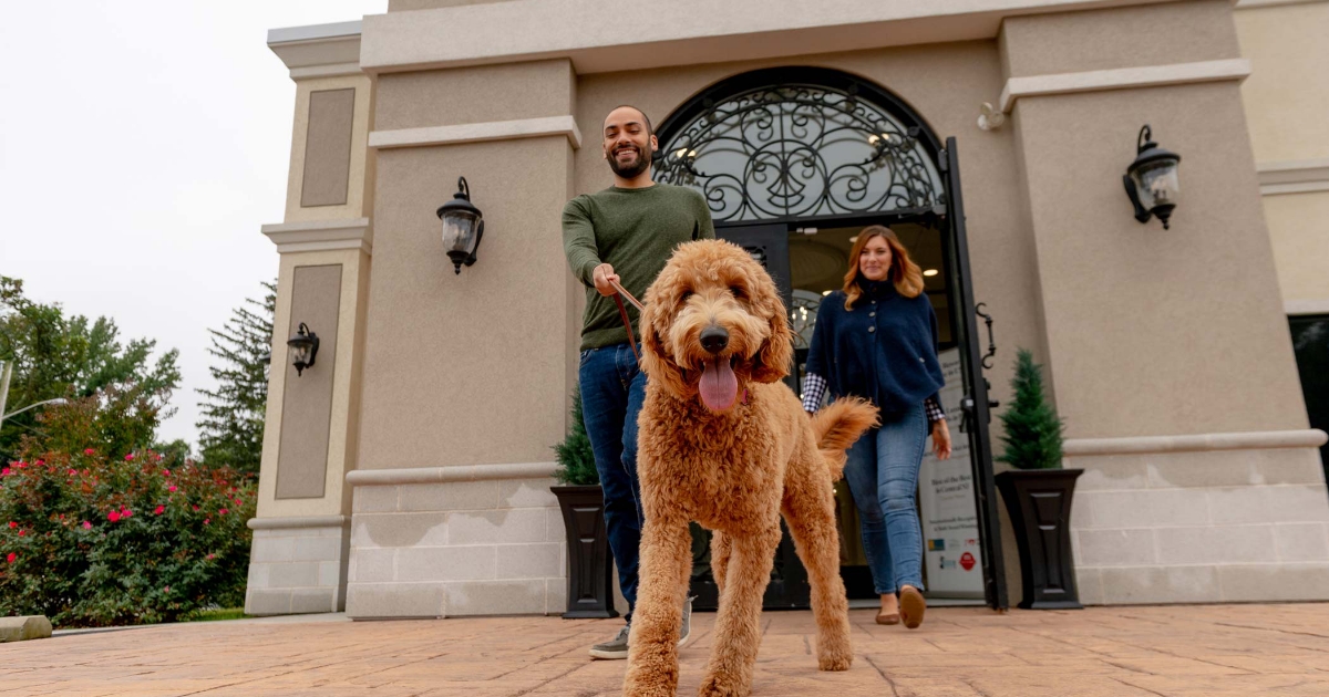 9. Doggie Retreat Hotel