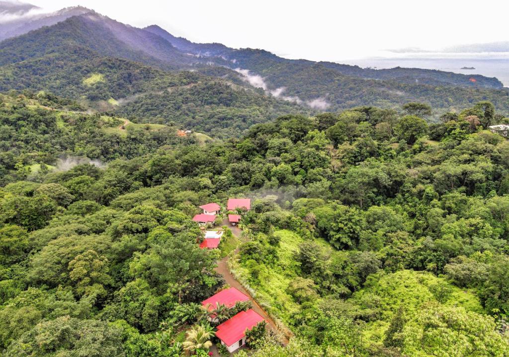 Nature's Edge Resort