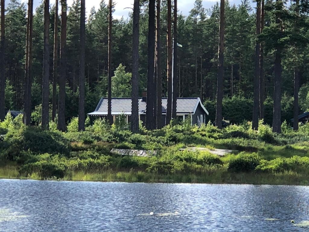 Modern Lakeside Cottage
