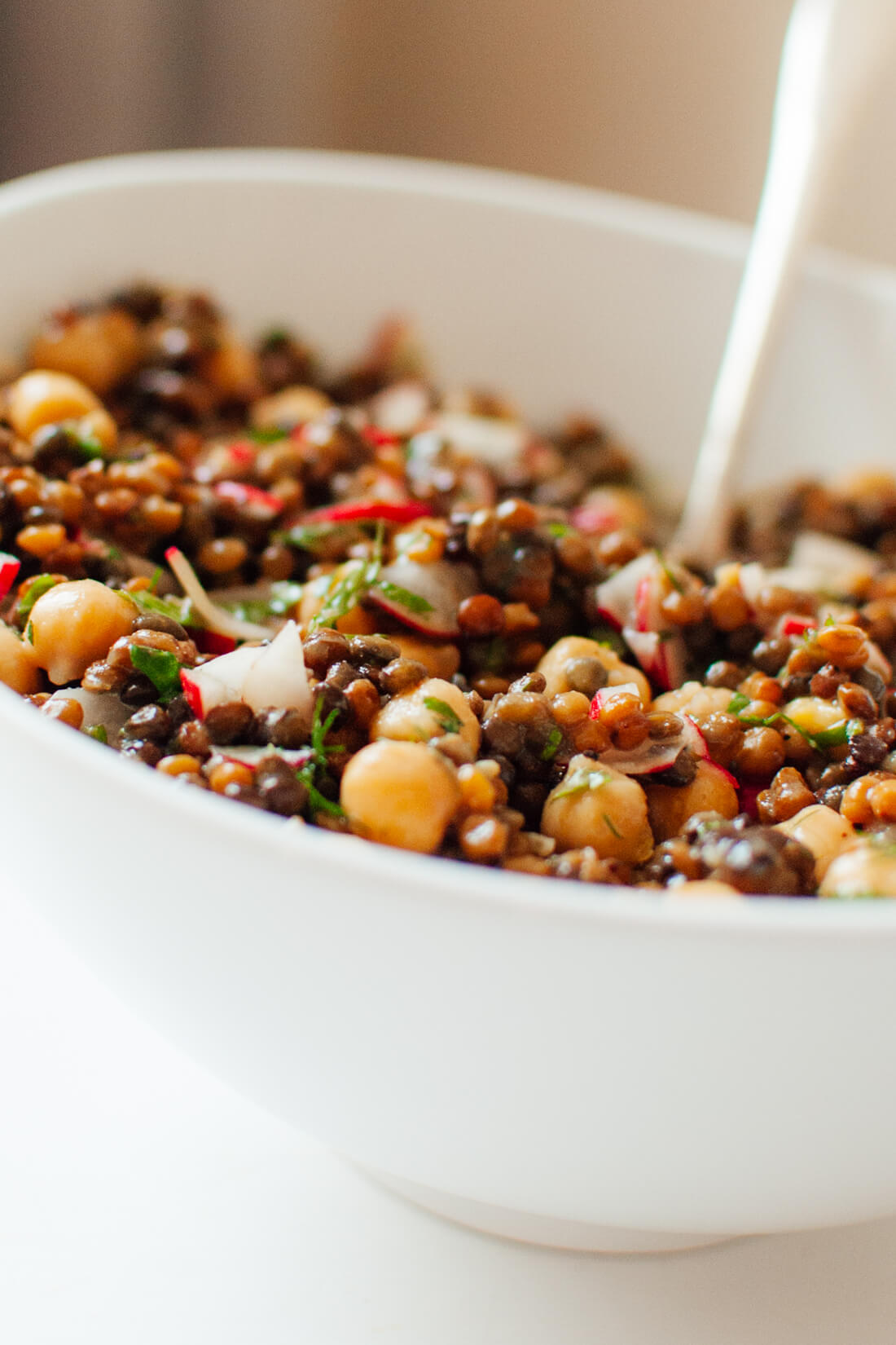 Lentil and Chickpea Salad