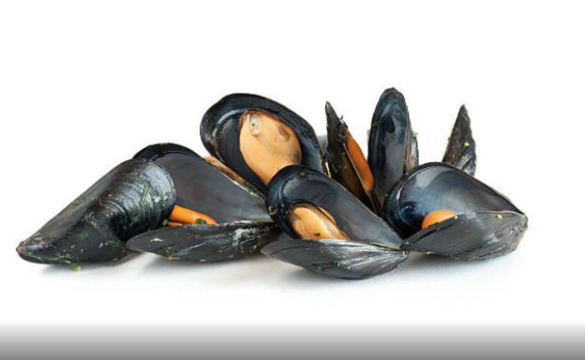 Sopa de mejillones con vino blanco