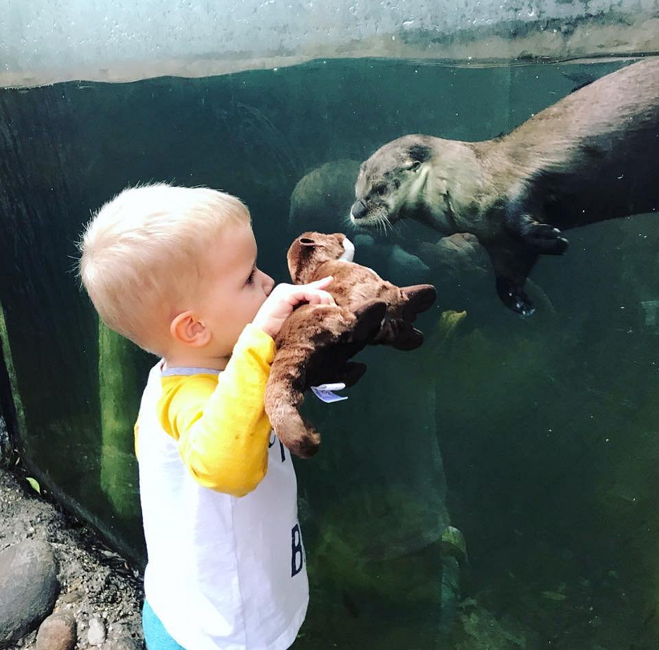 Explore the Palm Beach Zoo