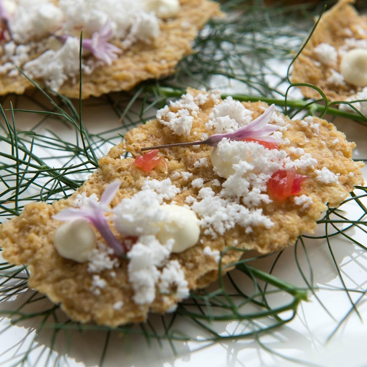 Experience the Margaret River Gourmet Escape