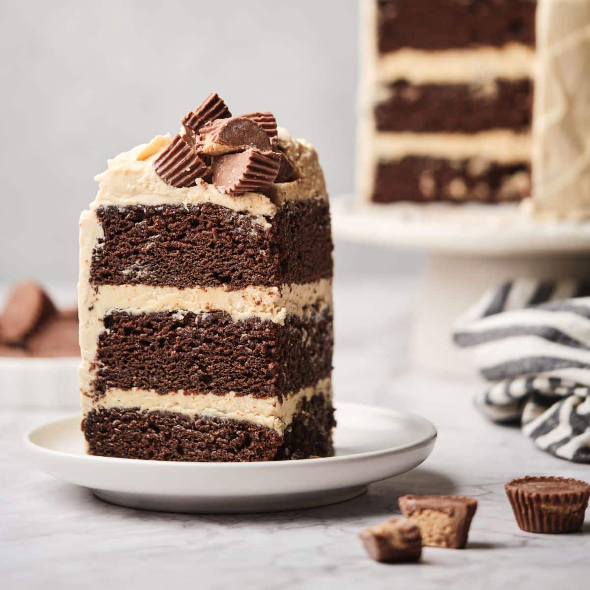 Peanut Butter Chocolate Cake with Peanut Butter Cream Frosting