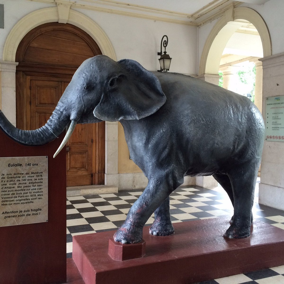 Visit the Grenoble Museum of Natural History