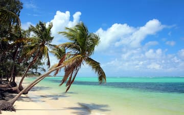 Bavaro Budget Hotel