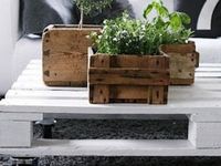 Herb Window Box