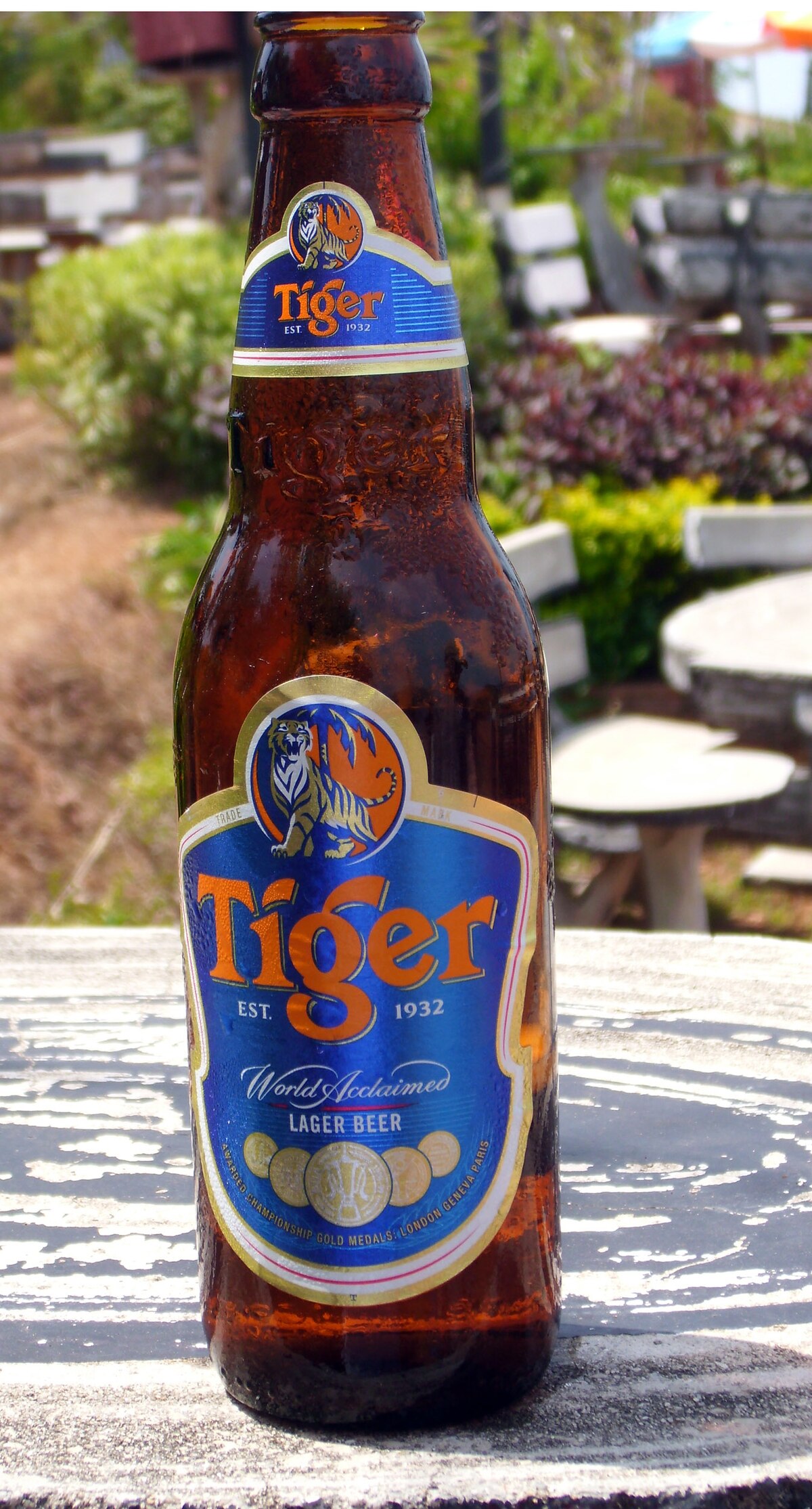 Anchor Beer