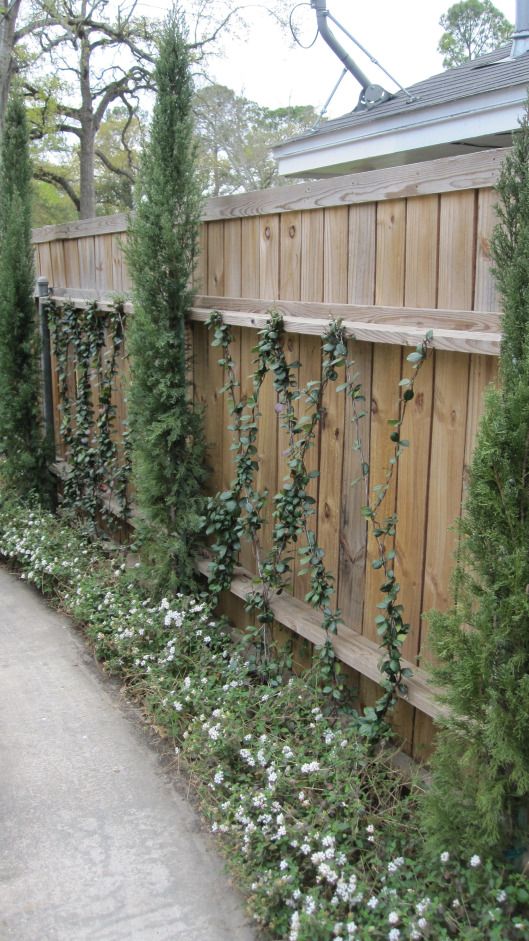 Vineyard-Inspired Courtyard Trellises