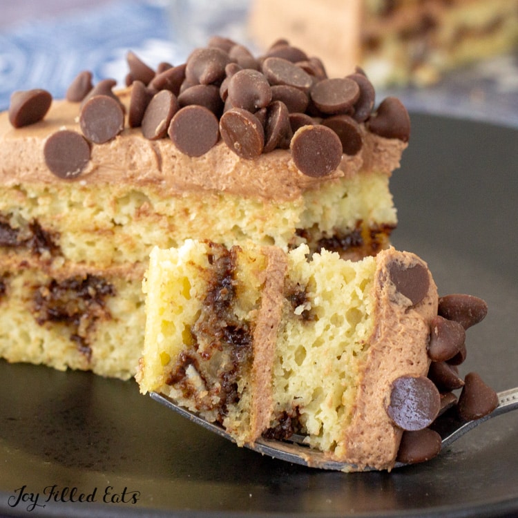 Sugar-Free Chocolate Chip Cake