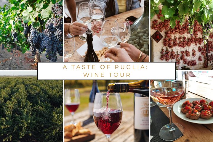 Day 5: Wine Tasting in the Apulian Countryside