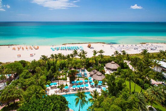 9. The Palms Hotel & Spa