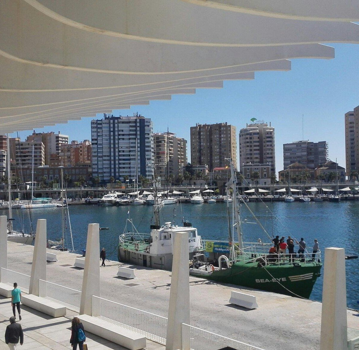 Museo Alborania
