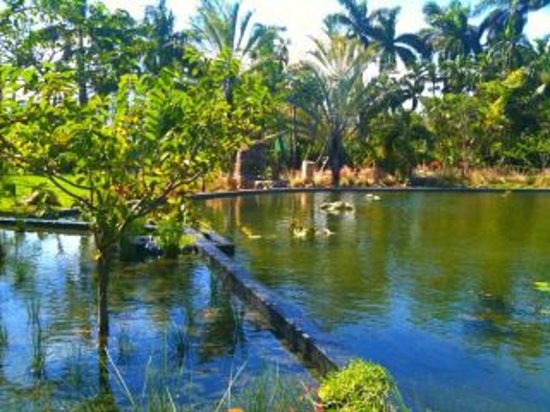 The Miami Beach Botanical Garden