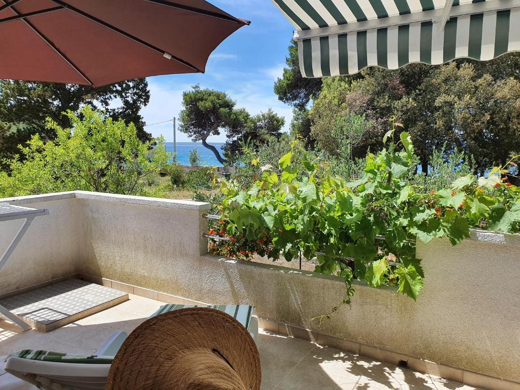 Silba Sunset Hotel