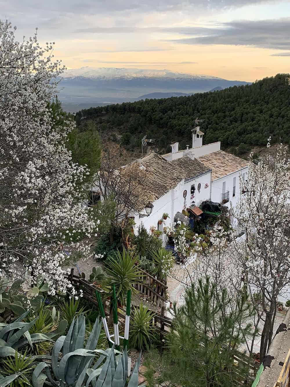 Rustic Finca with Vineyard