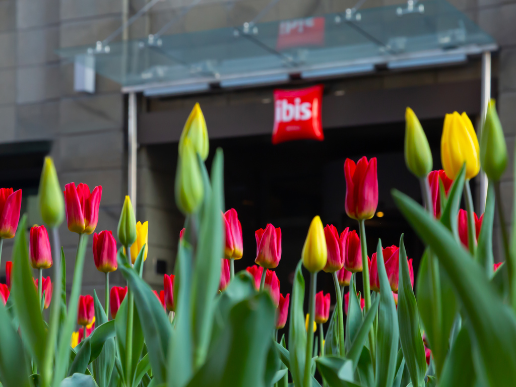 Hotel Ibis Moscow Centre Bakhrushina