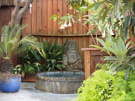 Relaxation and Wellness Retreat in Paso Robles