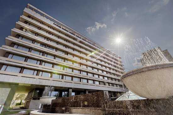Paw Palace Resort