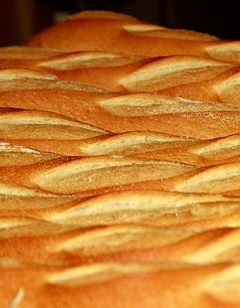 La Provence Bakery