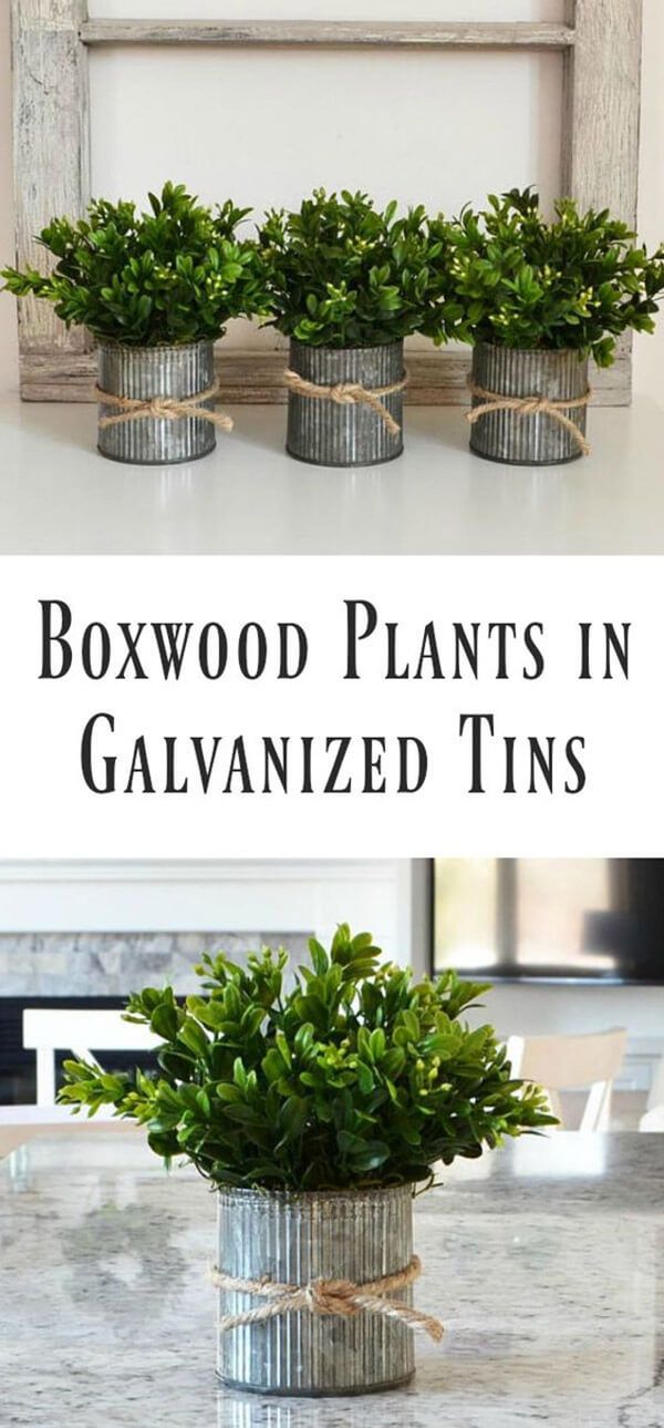 Add a Touch of Greenery