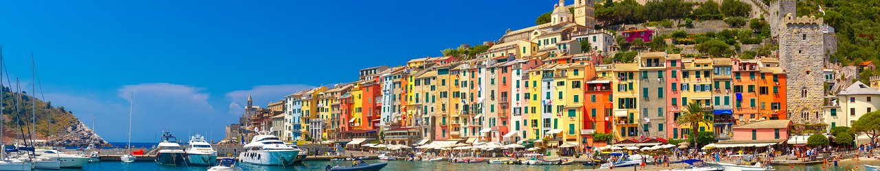 Explore the Olive Groves and Vineyards