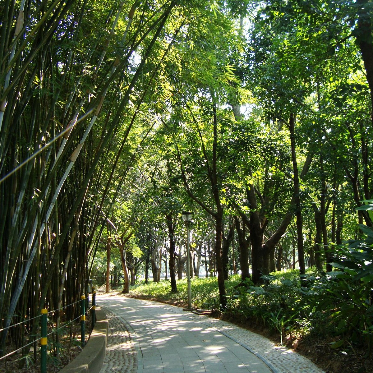 Shenzhen Mangrove Nature Reserve Parking