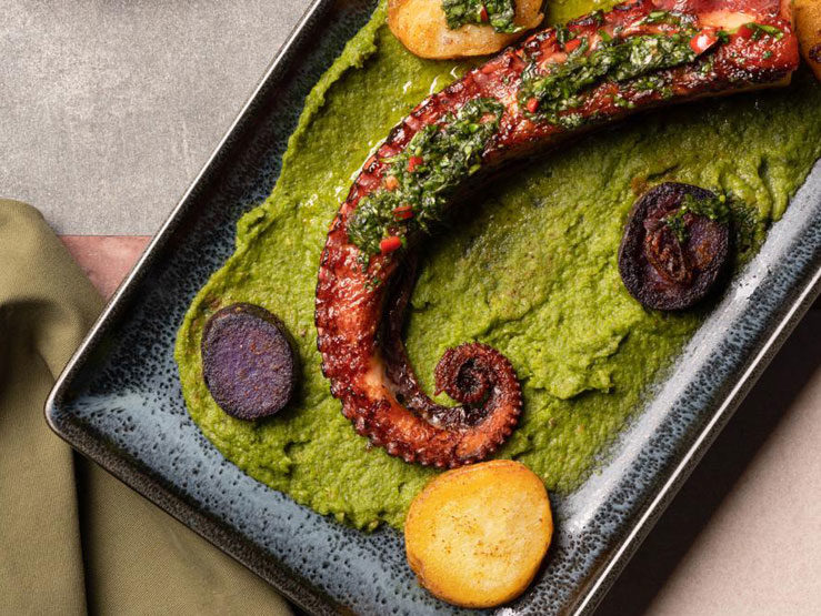 Ceviche Restaurant & Bar
