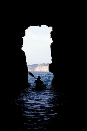 Day 5: Kayak to the Sea Caves and Snorkel with Leopard Sharks