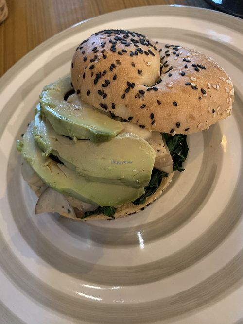 Bagel Haven