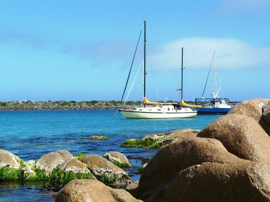 Day 4: Explore King Island