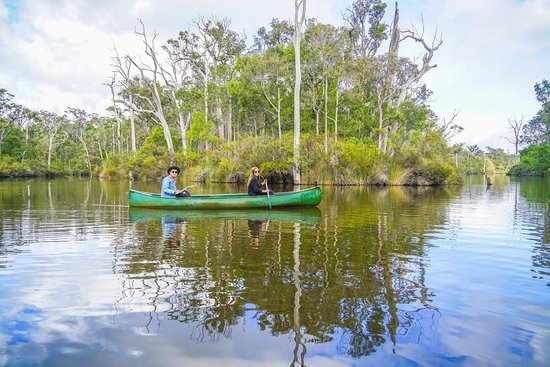Explore the Cape to Cape Track