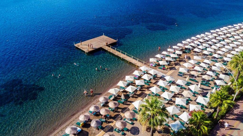 Hotel Orka