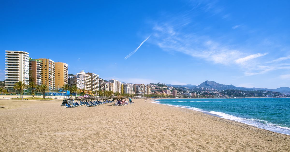 Experience Malaga's Nightlife