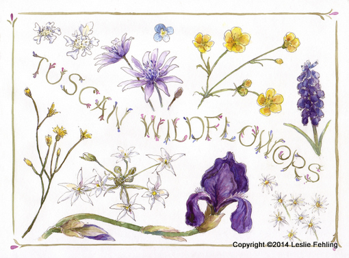 7. Wildflower Garden with Hand-painted Rock Borders