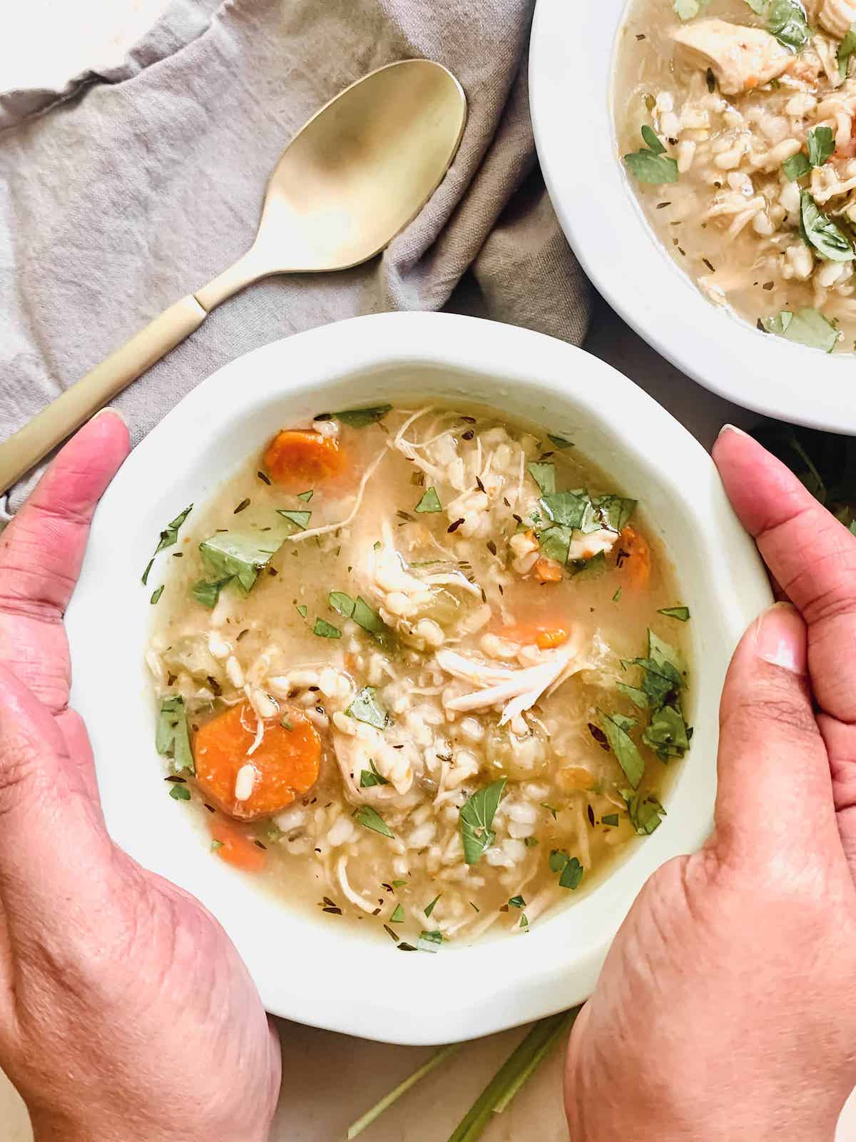 Instant Pot Chicken and Brown Rice Soup