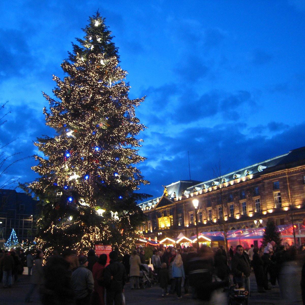 Experience the Christmas markets