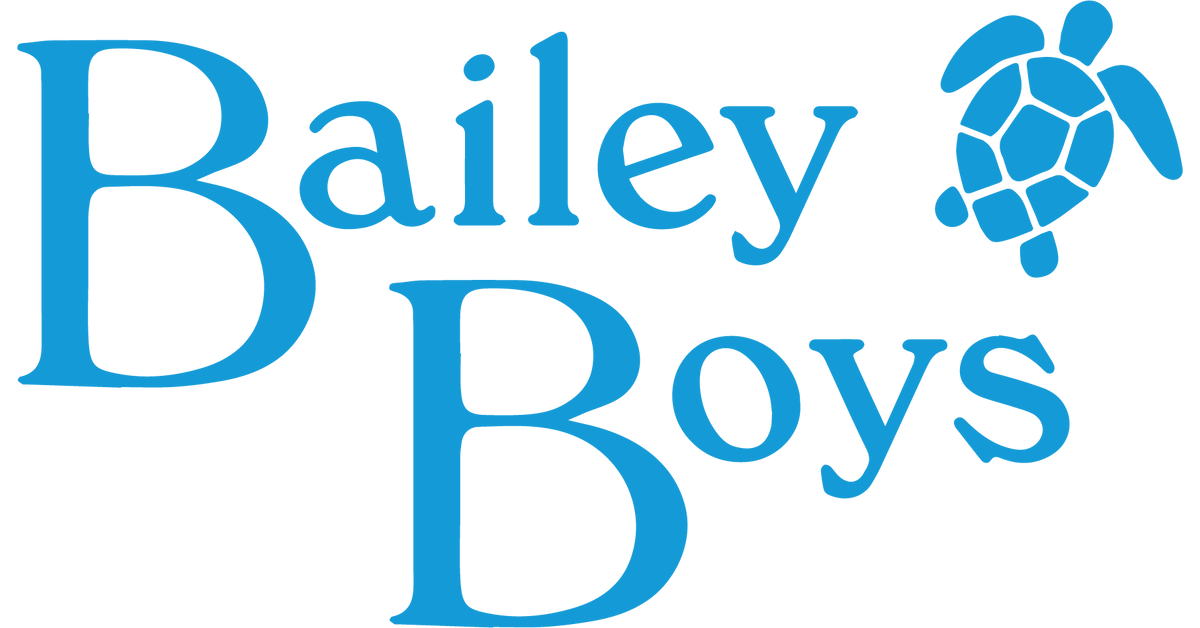 8. The Bailey Boys Baby Girls' Smocked Bishop Dress