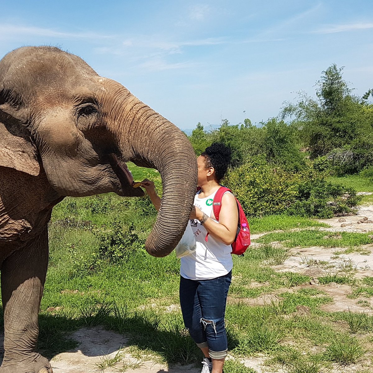 Visit the Elephant Bathing Pool