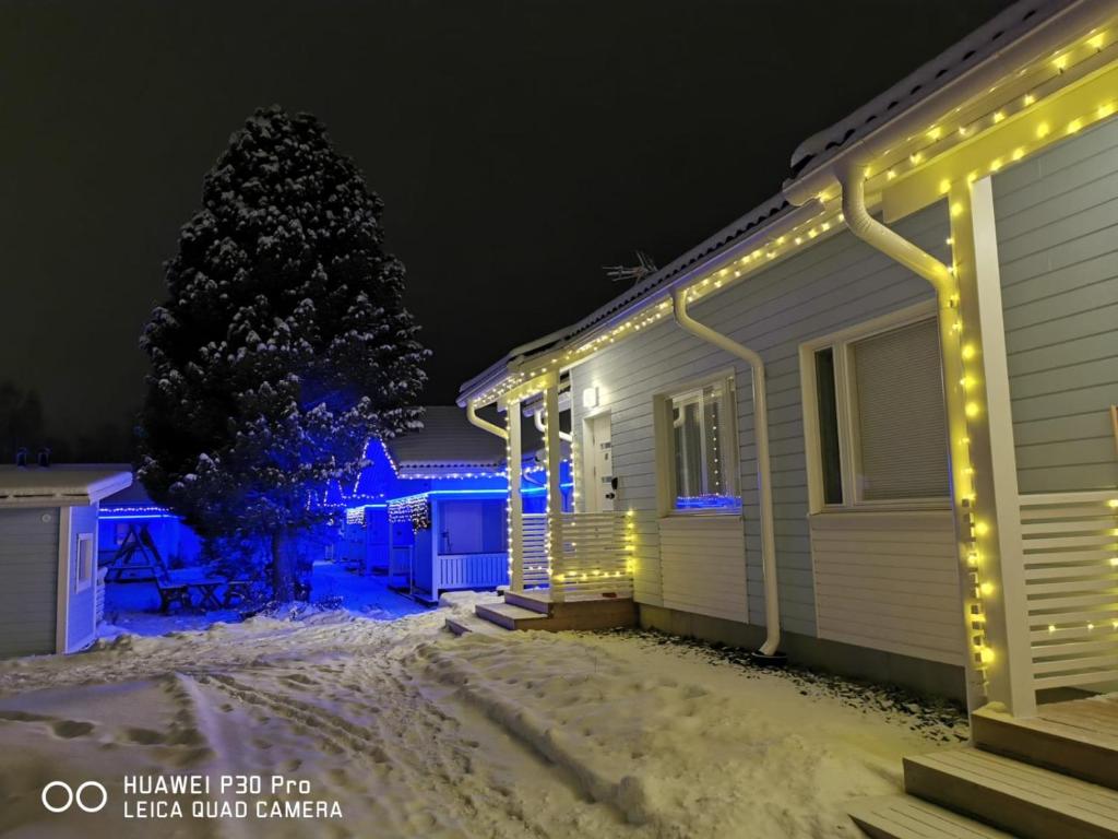 10. The Doggie Delight Resort