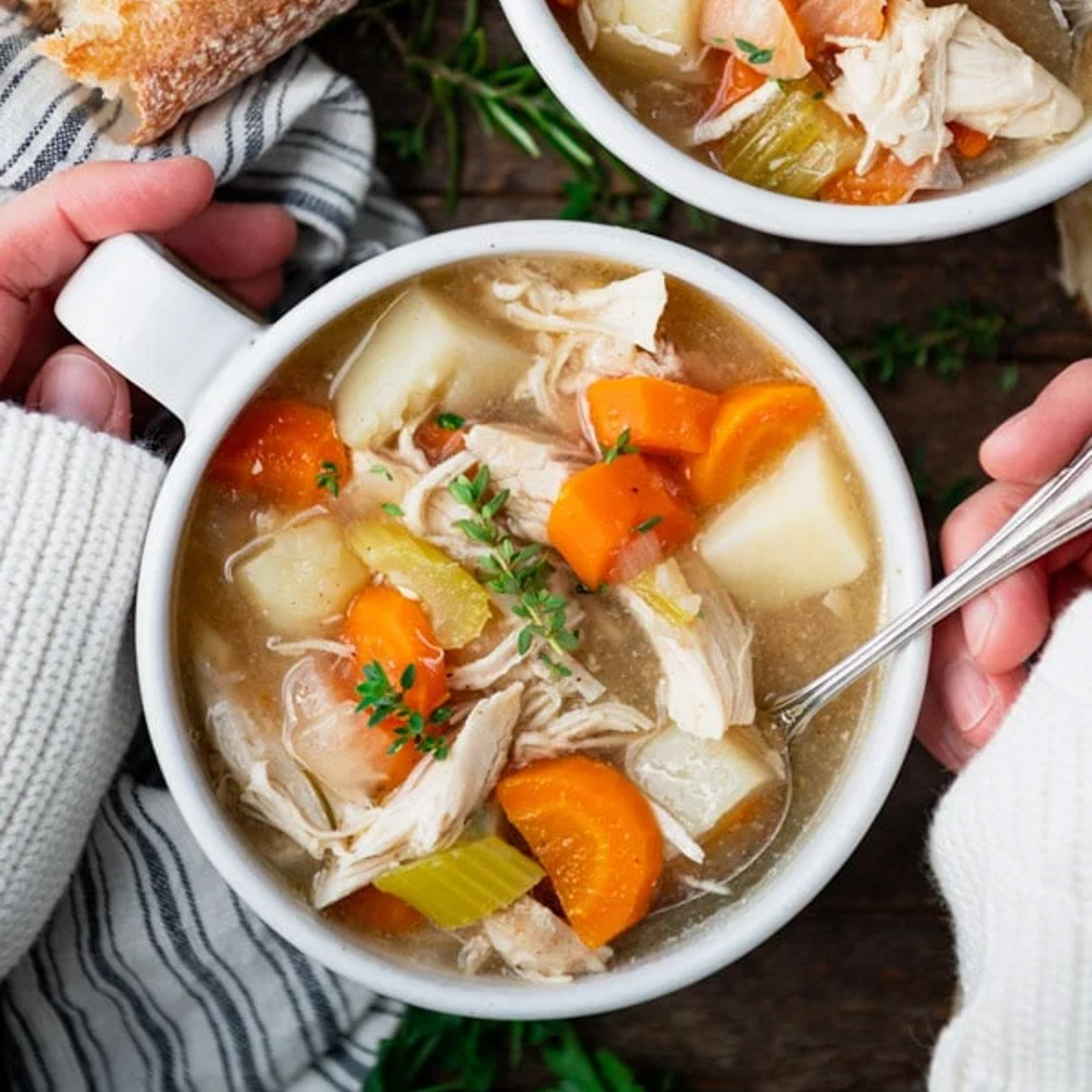 Crock Pot Chicken and Vegetable Stew