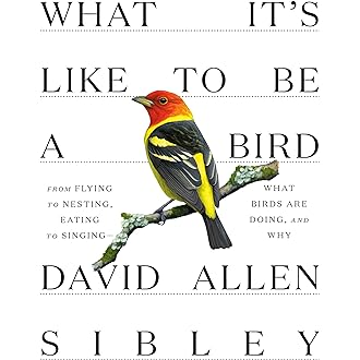 Birdwatching Calendar